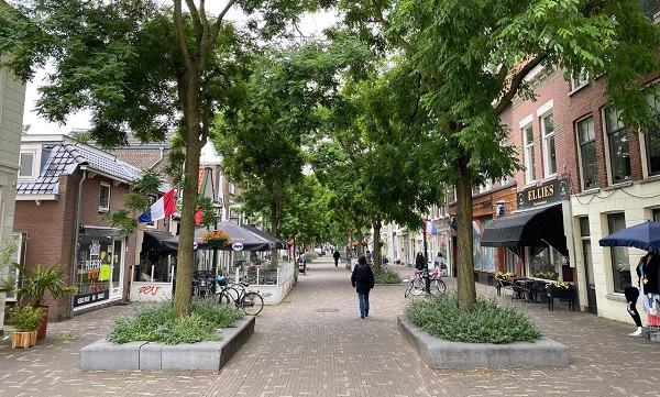 Nieuw intiem werelds festival in Schiedam Centrum