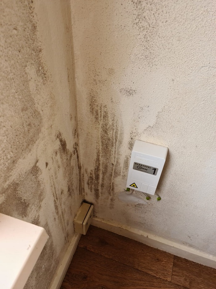 Woningen met schimmelvorming: DENK constateert mensonterende toestanden in Nieuwland