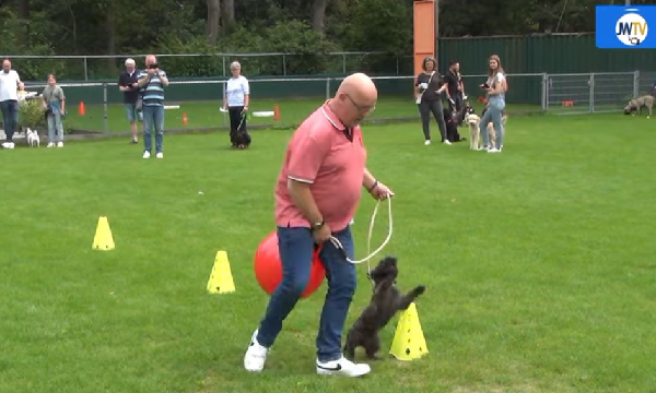 Dogs Training School mag coronasubsidie tóch houden