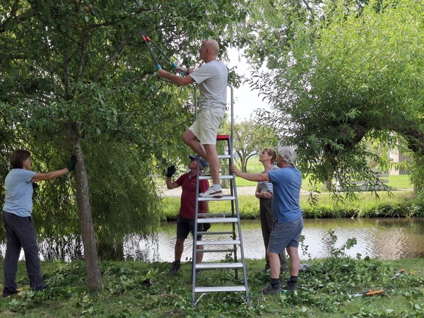 Workshop Snoeien Hoogstamboomgaard