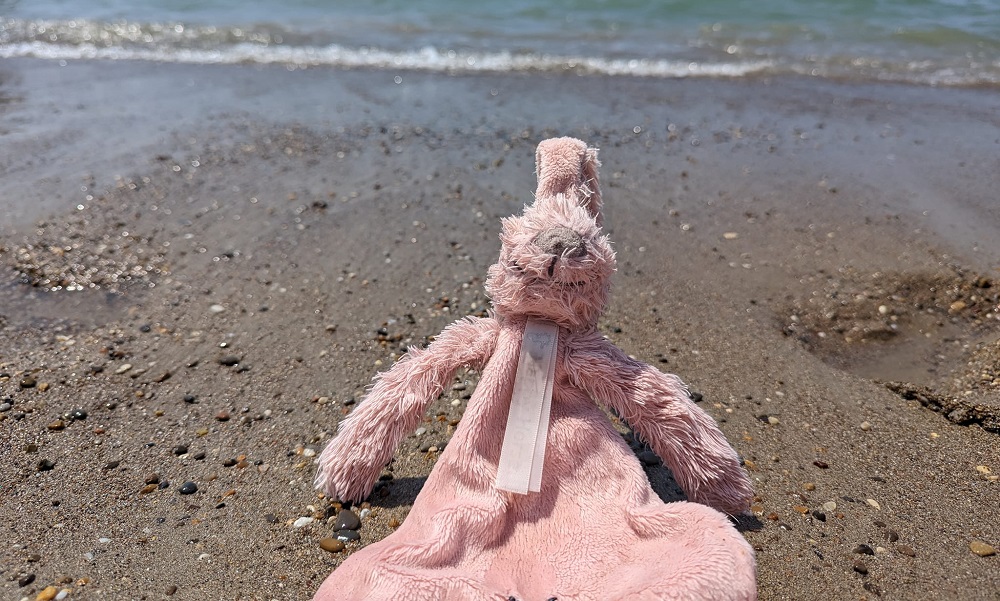 'Zet jij Flap op de foto om een hightea voor 4 te winnen?'