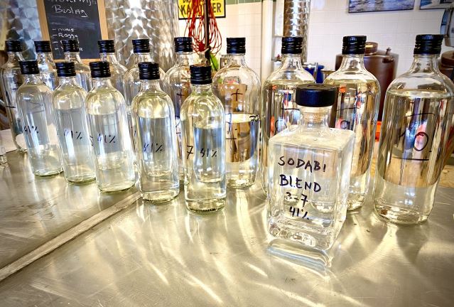 Van Togo naar Schiedam