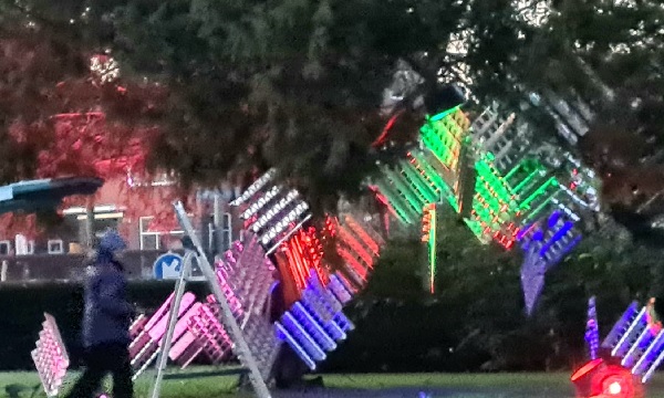 Winterlicht, natuurlijk!  Een park met konijnen, ratten en andere natuur