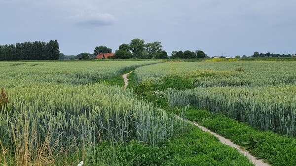 Nieuwe wandel- en fietsroutes met KERKenPADENboekje