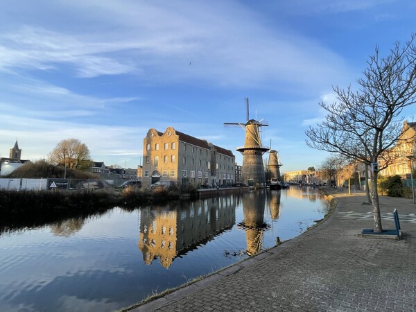 Molen De Palmboom zoekt de perfecte match
