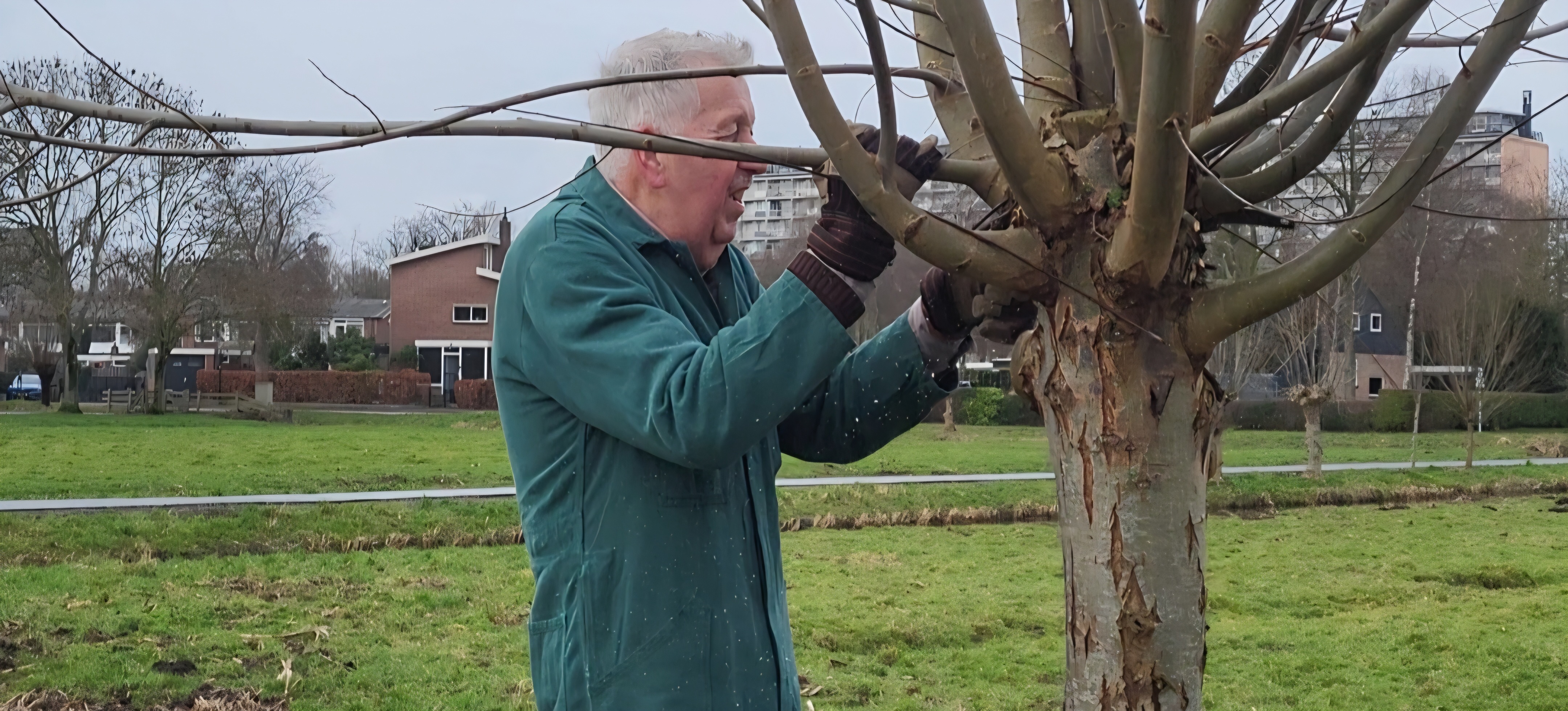Werkgroep 'Vrienden van Park Kethel' zoekt vrijwilligers