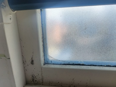 Ook Vlaardingen heeft zijn schimmelwoningen