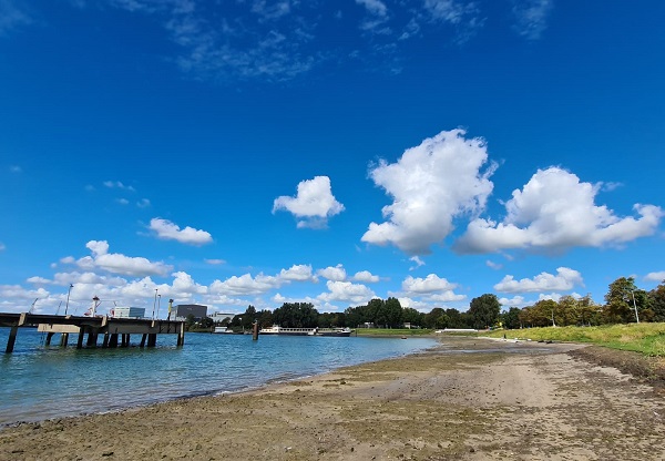 Nelson Mandela wordt niet vernoemd rond getijdenpark Wilhelminahaven 