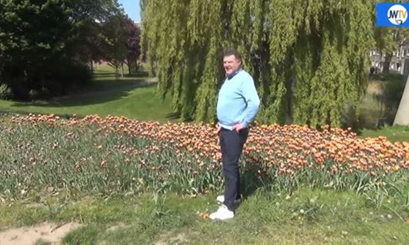 Rotary Schiedam de Veste verkoopt tulpenbollen