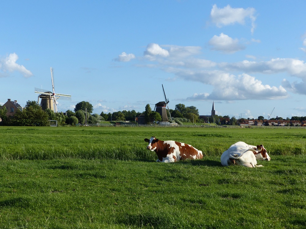 'Dag van het Landschap' over Midden-Delfland