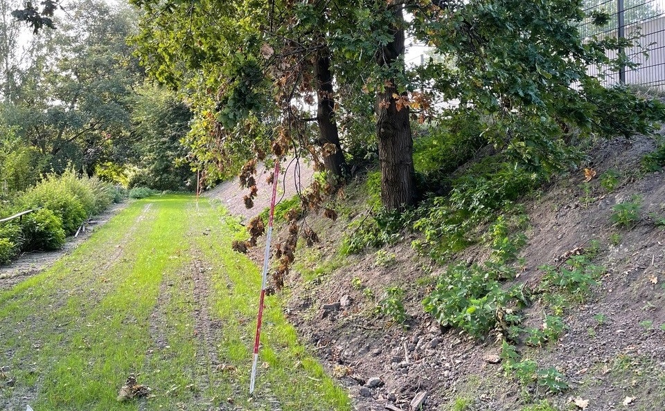 Bomenridders vechten kap van vier bomen aan