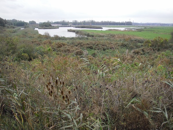 Een stoere polder, waar stoere mensen speciaal voor komen
