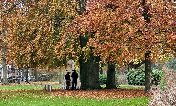 Een reis vol verwondering door De Plantage