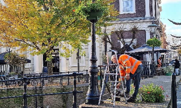 Bakken met geraniums zijn verwijderd