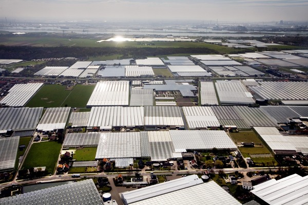 Delfland wil uitbreiding maatregelen tegen wateroverlast