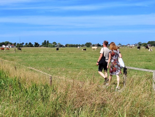 Tijdelijk wandelpad door boerenland