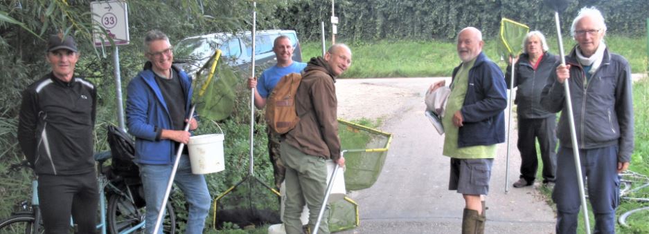 Vissen vertellen het verhaal