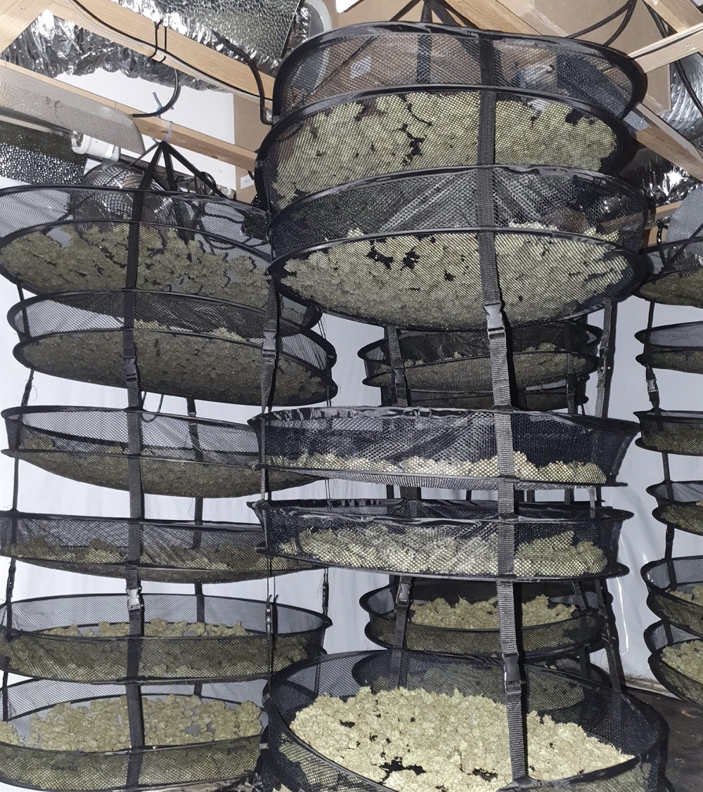 Hennepdrogerij in Schiedam Oost stilgelegd