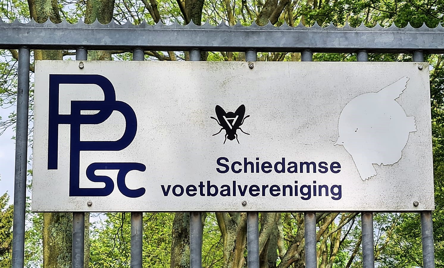 De 'Schiedamse SportSpelen' voor leerlingen groep 5