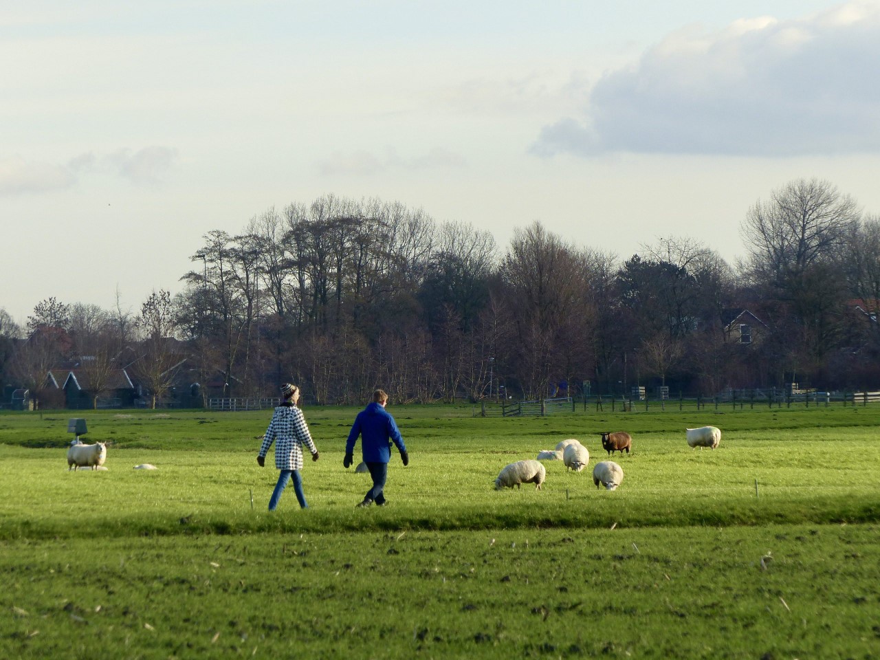 Vliegend wandelpad door het boerenland