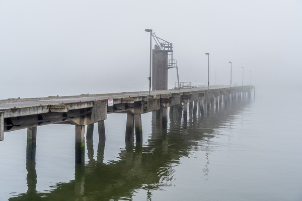 Schiedam getijdengebied in de mist