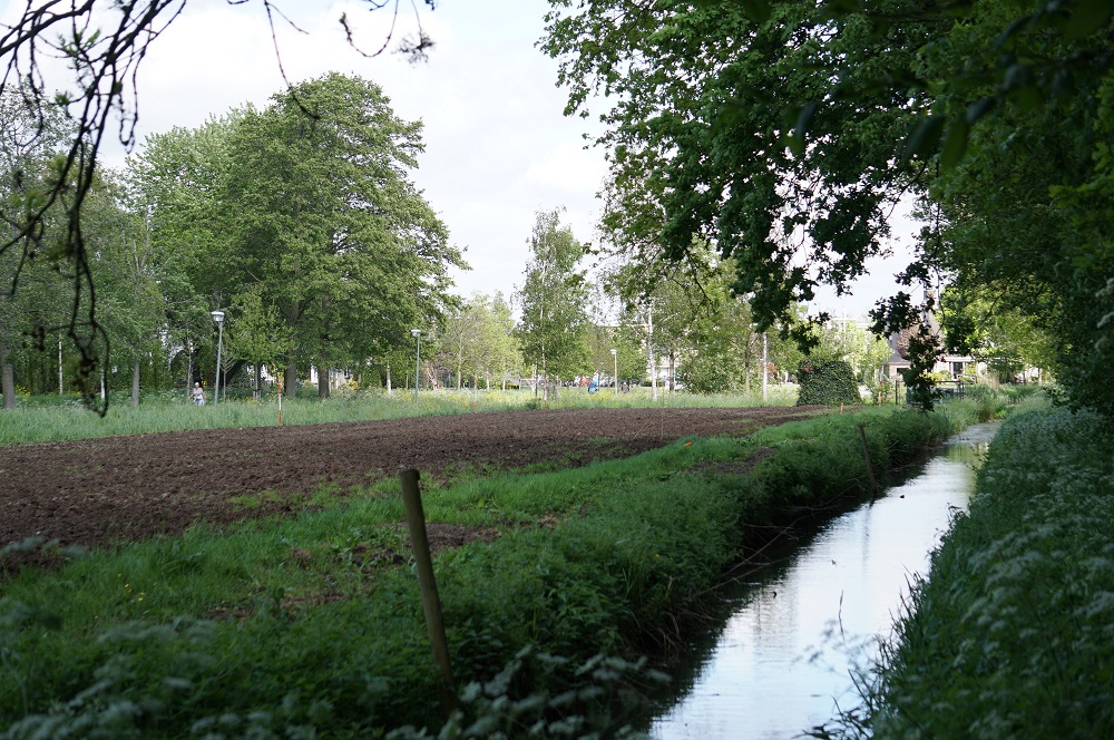 Aanleg 'poldertuin' in Park Kethel
