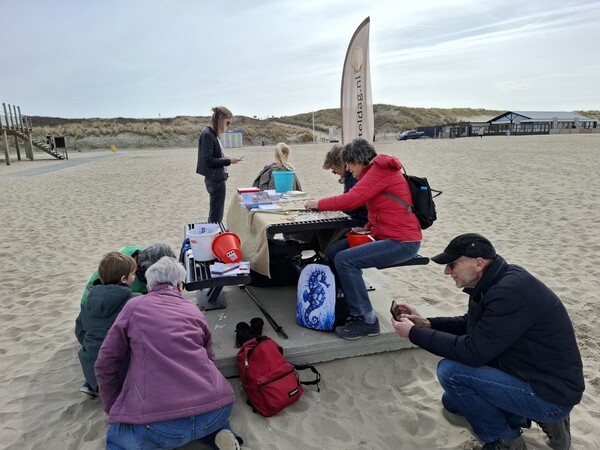 Aan de kust, daar aan die kust