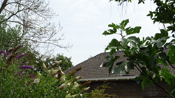 Selma werd slechts 62 jaar