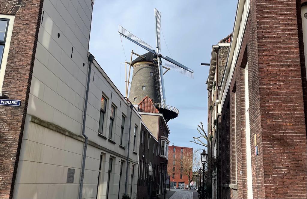 De Walvisch heeft zijn nieuwe wieken en de Vismarkt is weer schoon