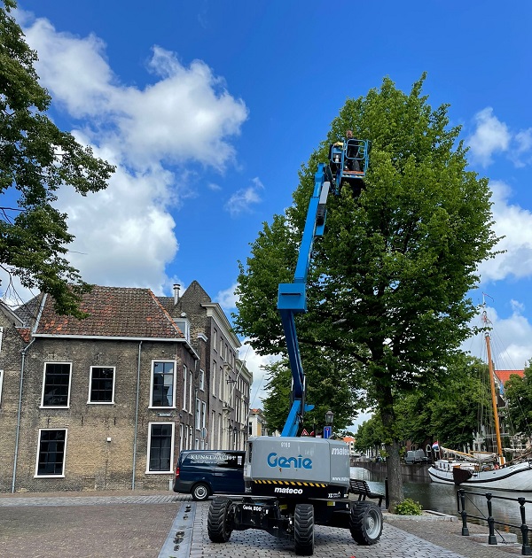 De vissen hangen (weer) in de boom op de Vismarkt en nu alle 22