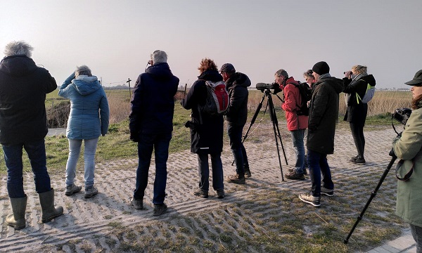 Vroege vogelexcursie in het Kraaiennest