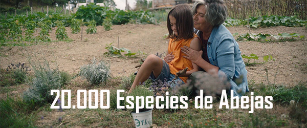 20-000-Especies-de-Abejas