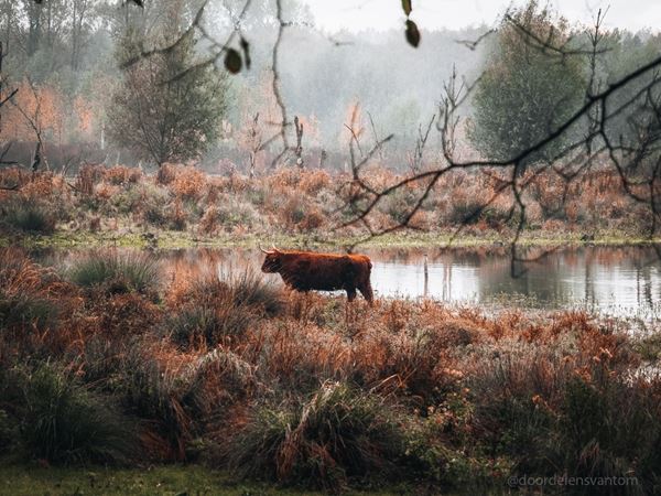 Najaarswandeling met Broekpoldergidsen 