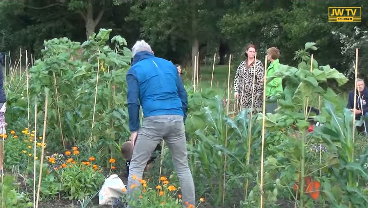 Ouders keken wat hun kinderen verbouwd hadden