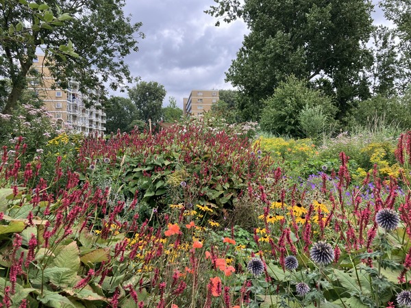 Viering 10 jarig jubileum Maastuin