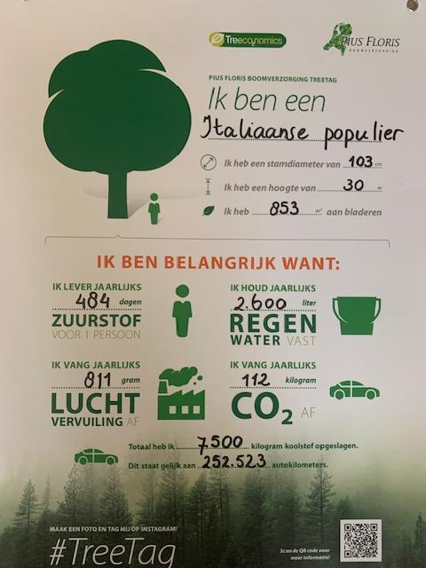 De vijfde TreeTag gaat op 2 november naar Kethel