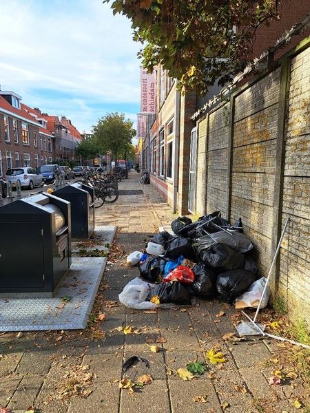 Wantoestanden Fabribuurt, Frankelandbuurt en Liduinabuurt