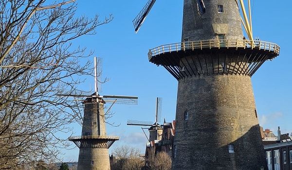 Uitglijder gemeente Schiedam met haar communicatie over de molens