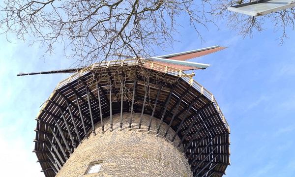Puzzelspeurtocht en koekjes versieren bij De Walvisch