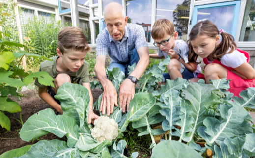 Workshop: ‘Moestuinieren met Kinderen’ 