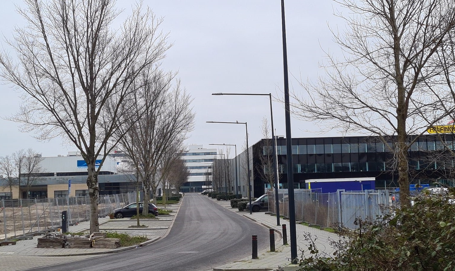 Gemeente geeft kapvergunning voor alle 40 bomen in Havenstraat